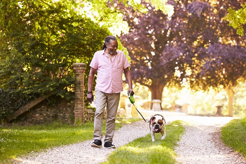 Adult man working a part time job as a dog walker.