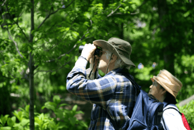 Bird-watching for older adults
