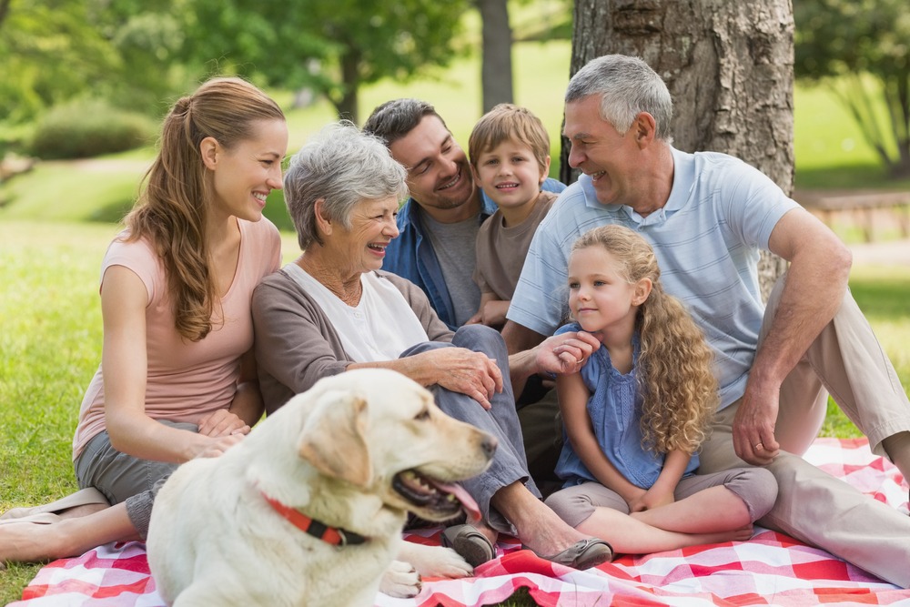 Older adults spending time with their family in the park