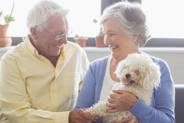 The Best Small Dog Breeds For Seniors And Retirees 2 senior couple holding their bichon frise.