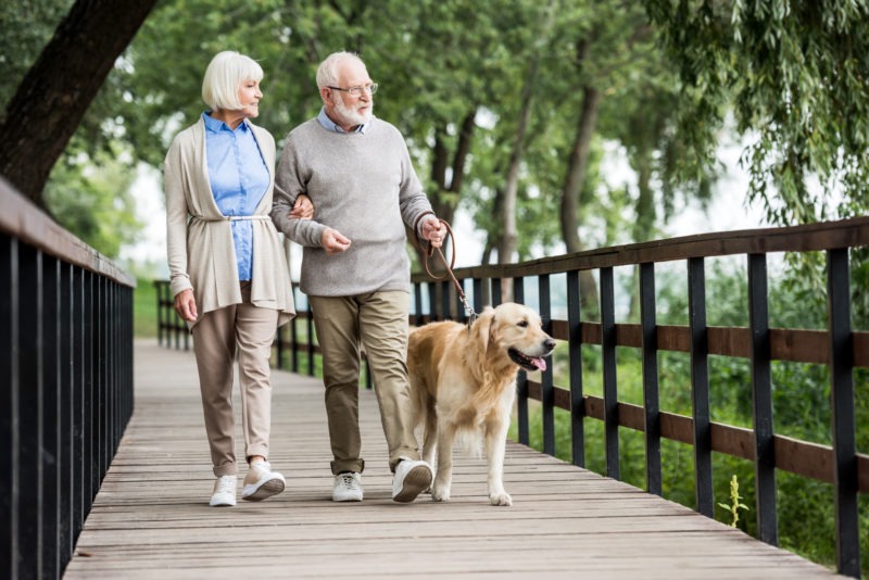 Retired Couple Walking Dog