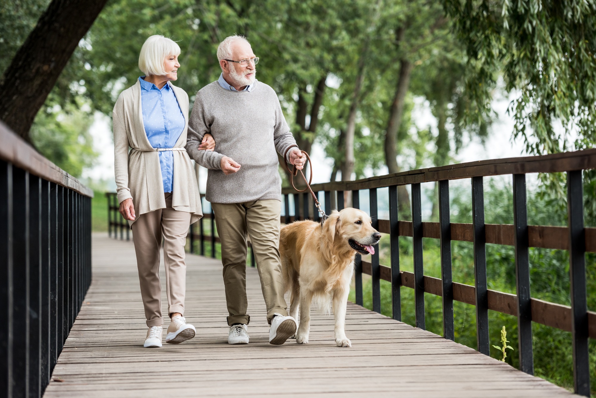 Can Your Pet Improve Your Health? 9 retired couple walking dog