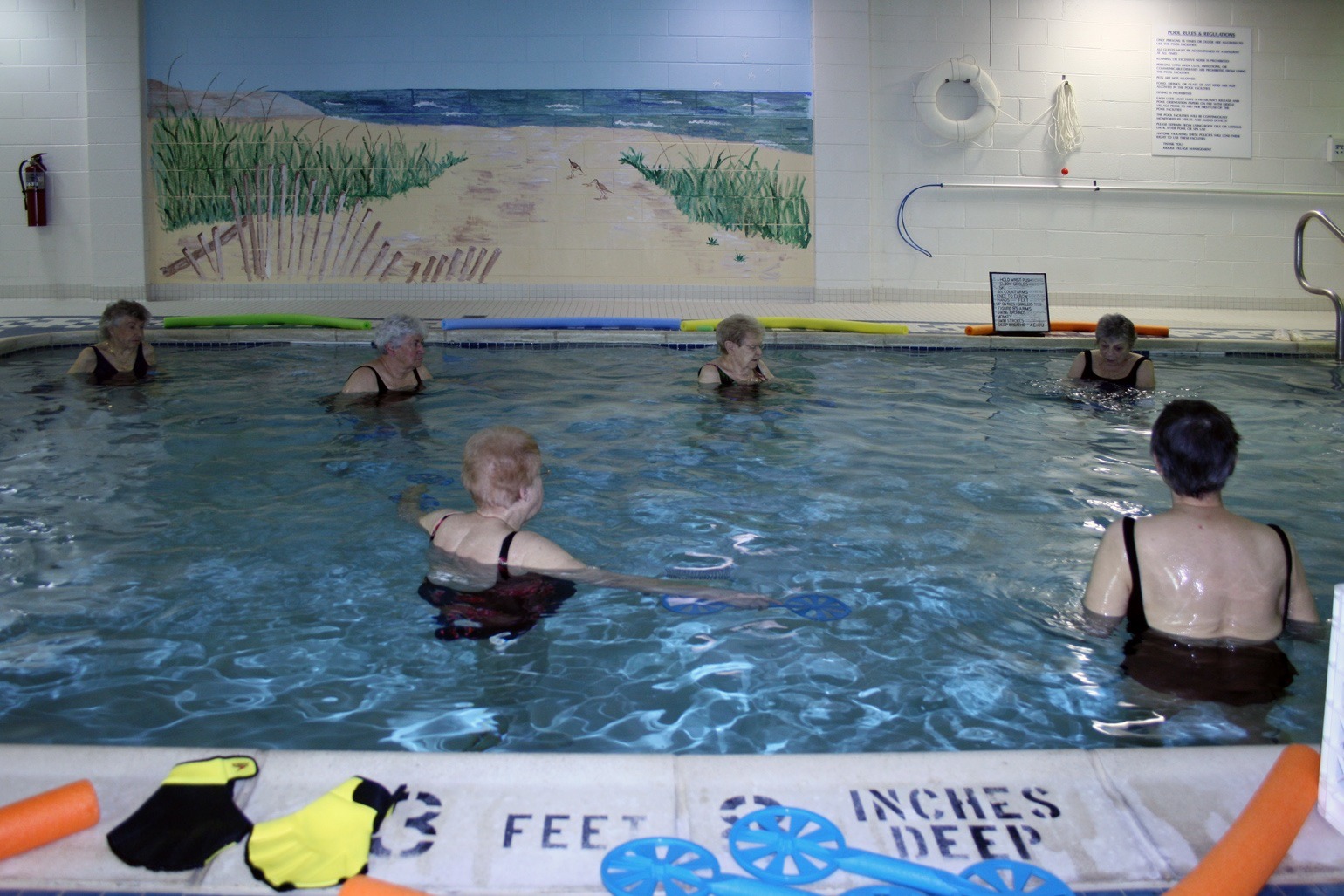 swimming activities for seniors
